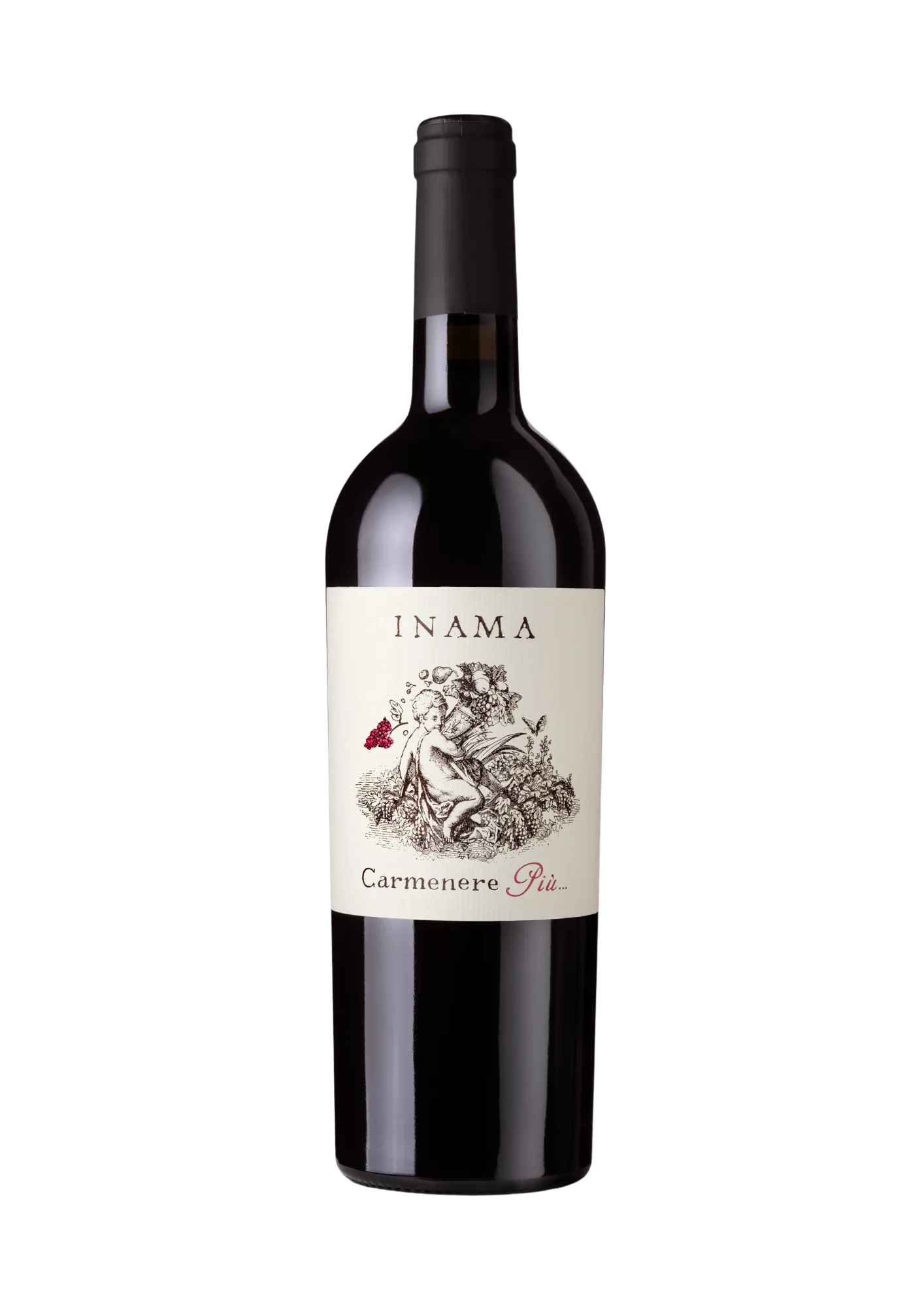 Carmenere Più bottle